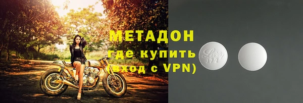 индика Новозыбков