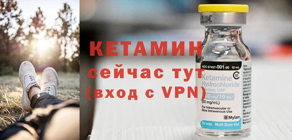 индика Новозыбков