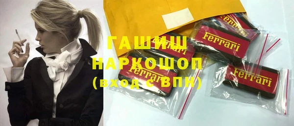 индика Новозыбков