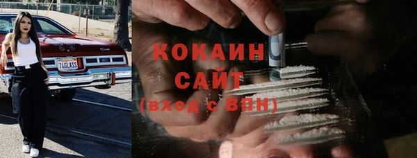 прущие грибы Билибино
