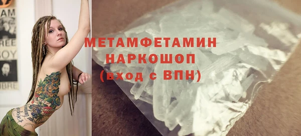 индика Новозыбков