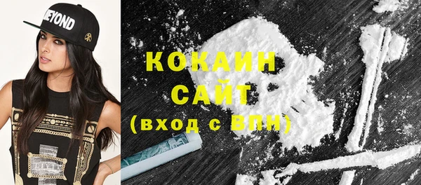 индика Беслан