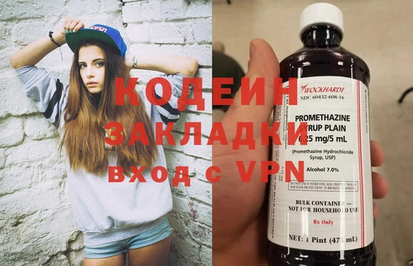 индика Новозыбков