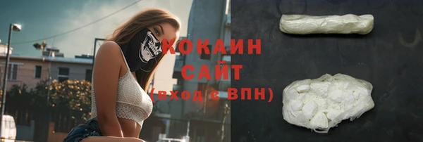 индика Новозыбков