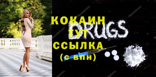 индика Новозыбков
