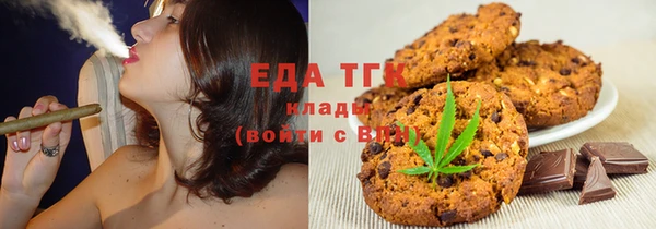 индика Новозыбков