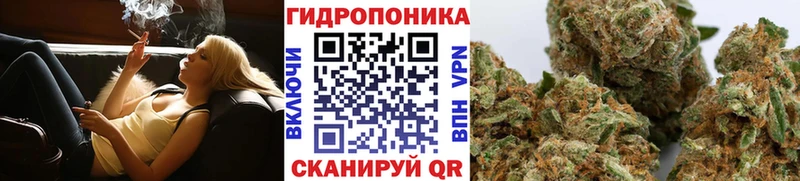Бошки Шишки планчик даркнет телеграм Лодейное Поле blacksprut ONION